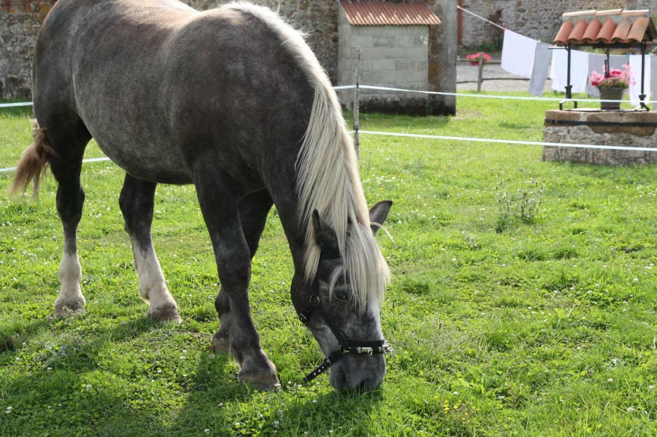 Aux Charmes D'Antan Hotel La Pommeraie-sur-Sevre Bagian luar foto